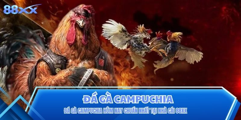 Đá Gà Campuchia Hôm Nay